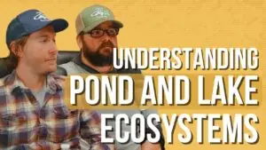Pond & Lake Ecosystems