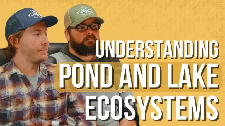 Pond & Lake Ecosystems